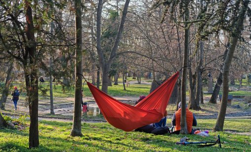 Днес ще е слънчево, слаби валежи от дъжд в района на Родопите