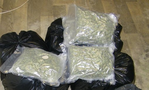 Спипаха българин с 43 кг канабис на летището във Виена