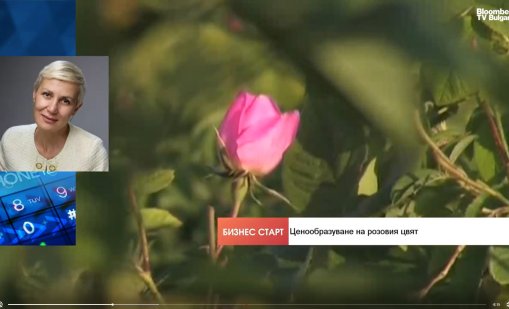 Защо българското розово масло губи позиции на световните пазари?