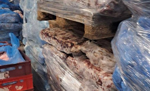 БАБХ откри тонове свински глави и месо в хладилни камери с плесен и ръжда 