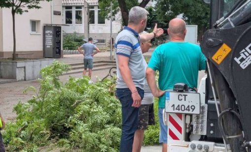 Служители на община Стара Загора разчистват щетите от вчерашната буря