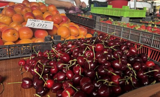 Черешите тази година може да са в пъти по-евтини