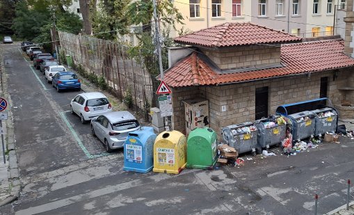 Добре дошли в Бургас: Плъхове, котки, гларуси разнасят разпилени боклуци 