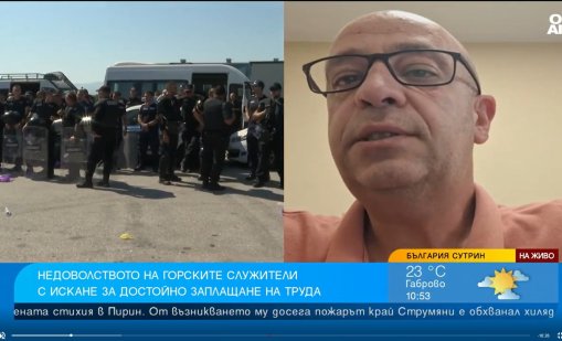 Служителите от "Горско стопанство" искат достойни заплати