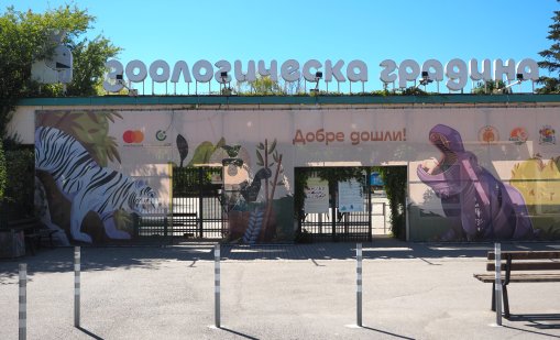 Зоопаркът в София има нова фотоволтаична централа