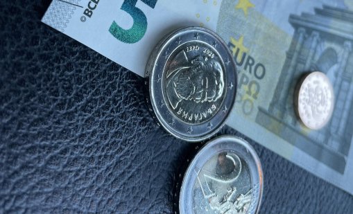 Анкета: Имате ли затруднения след въвеждането на еврото у нас?