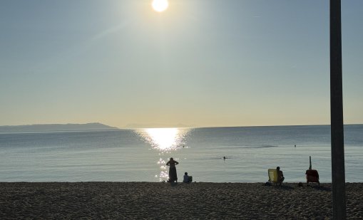 Влиза в сила забрана за риболов на есетрови видове риби в Дунав и Черно море