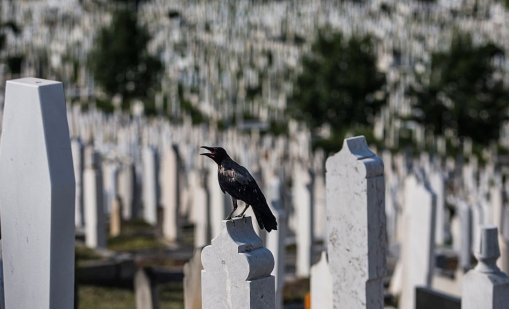 Въпросът остава: Кои са били хората, стреляли по деца в Сараево, като на сафари? 