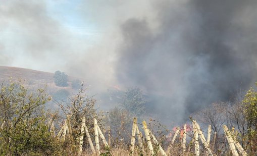 171 пожара са потушени през изминалото денонощие, 11 лъжливи повиквания