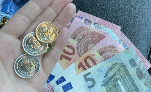 Без сериозни нарушения след въвеждане на еврото, за какво да сигнализираме?