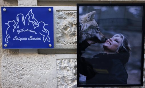 Брижит Бардо ще бъде погребана в сряда в Сен Тропе