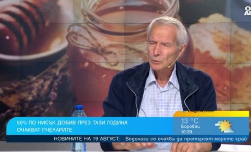Сушата не пощади и пчелите, медът сериозно ще поскъпне