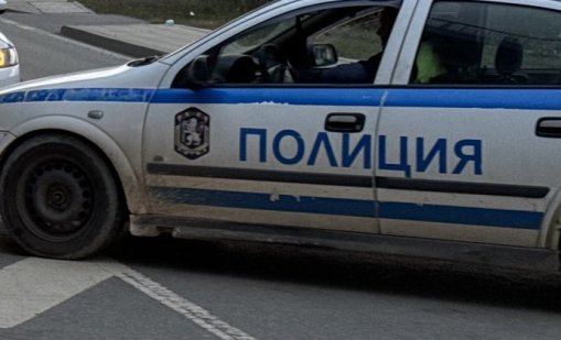 Трима мигранти са задържани край "Дунав мост" при Русе