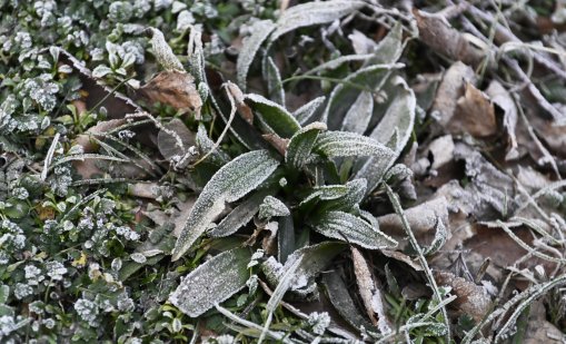Идва студен въздух, ще вали дъжд и сняг