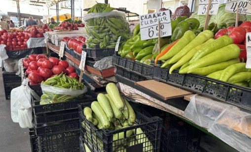 Политиците са заети с изборите си, а земеделието ни е на ръба