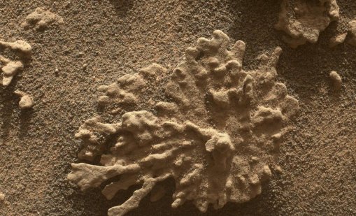 Марсоходът на NASA със снимки, показващи, че на Марс е възможно да е имало живот