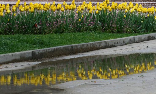 Западният вятър се усилва утре, температурите до 20&deg;