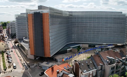 Българи се събраха и пред ЕП в Брюксел на протест