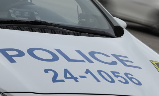 Неизвестен застреля куче в село край Симитли