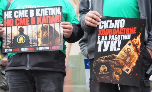 В кадър: Мирен протест на служителите на столичния зоопарк 