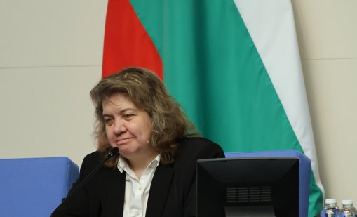 Киселова: Според мен КС ще допусне частично искането на Радев