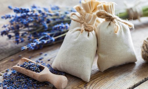 Лавандула и розмарин гонят молците