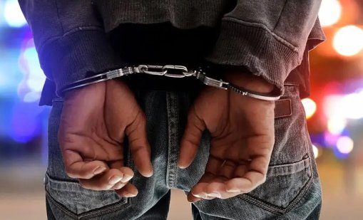 Сръбски наркобос с фирма в България е задържан при международна акция