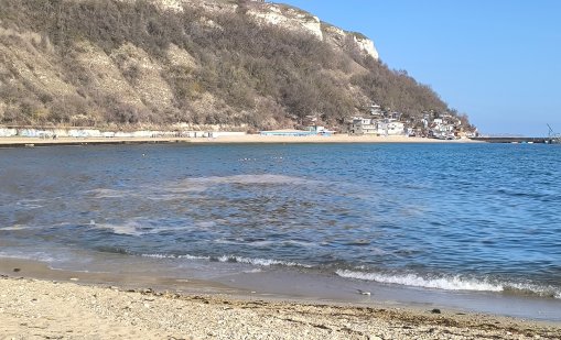 Няма замърсяване на морето, което да е причина за масова смъртност на защитени видове край Шабла