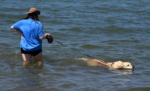 Жеги от над 45 градуса налегнаха Австралия