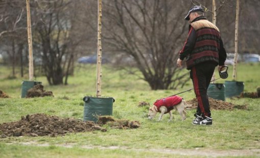 В Бургас: Съсипаха фиданки, поливани със сапунена вода и утайки от кафе