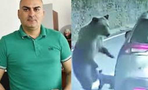 Георги Бижев, който бе нападнат от мечка в Румъния: Опита се да ме захапе по врата