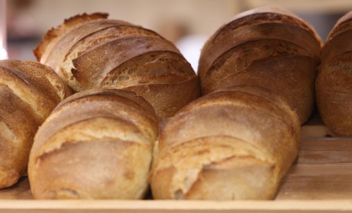 Цената на хляба ще скочи заради цените на горивата