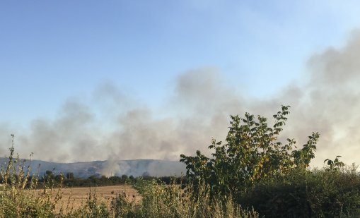 Няма опасност за здравето на населението след пожара в Плевен