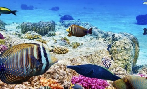 Априлско лято в Египет на промо цени