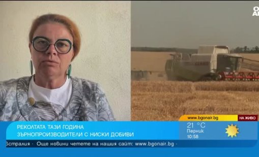 Житницата на България е съсипана, ще има фалити