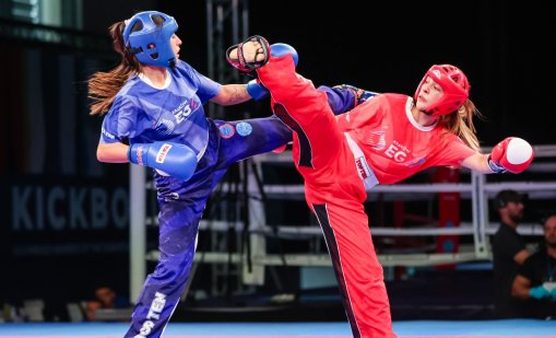 Родният кикбокс завършва 2025 година с 900 медала на международната сцена