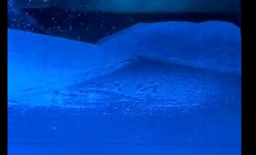 Думата "х*й" се появи на сцената на Болшой театър в представление за войници ВИДЕО