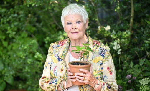 Зрението на Джуди Денч се влошава, не може да различава близките си