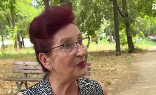 След като клон уби мъж: Над 50 опасни дървета дебат в Пловдив