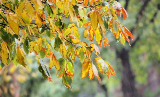 Времето в събота: Облачно, но топло за сезона