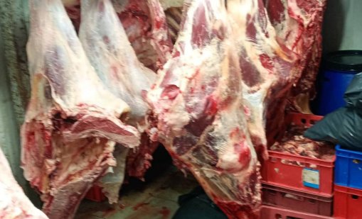 БАБХ откри над 10 тона месо в незаконна кланица в Дебелец