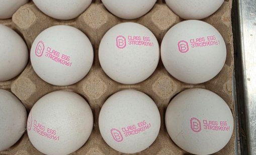 БАБХ спря почти 1,3 млн. турски яйца на "Капитан Андреево"