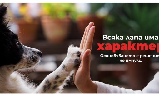 Всяка лапа има характер: Как да намериш твоето куче?