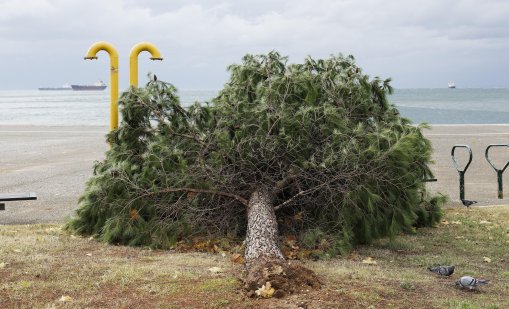 Бурни ветрове причиниха щети в Солун