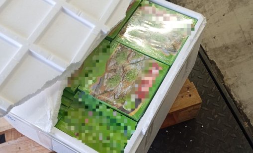 БАБХ конфискува 770 кг турски сладкиши на "Капитан Андреево"