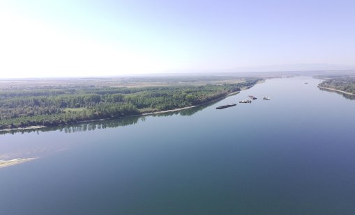 Нов спад на нивото на река Дунав в българския участък