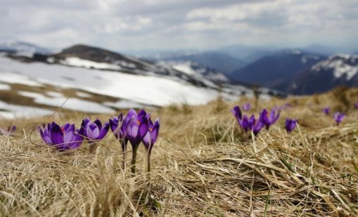 Слънчево и още по-топло ще е днес, в планините дъжд