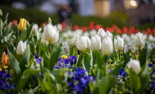 Слънчево в изборния 19 април, градусите до 22