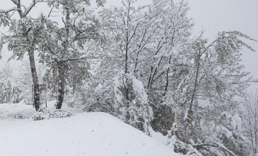 Петима чуждестранни туристи загинаха при снежна буря в Чили