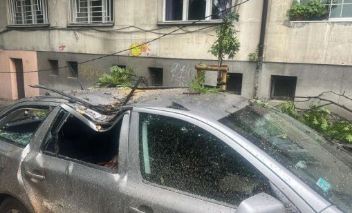 Дърво падна върху две коли в центъра на София